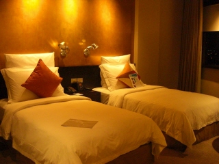 20090125 ¥ß¥ì¥Ë¥¢¥à¥Ò¥ë¥È¥ó¡¡1