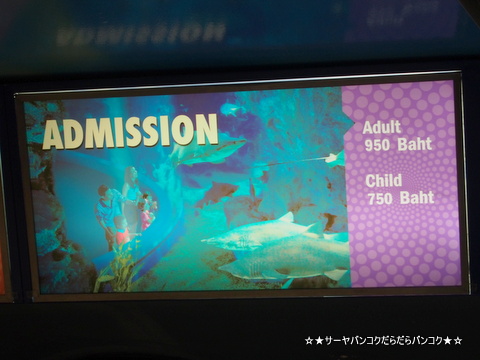 サイアムオーシャンワールド サーヤ Siam Ocean World