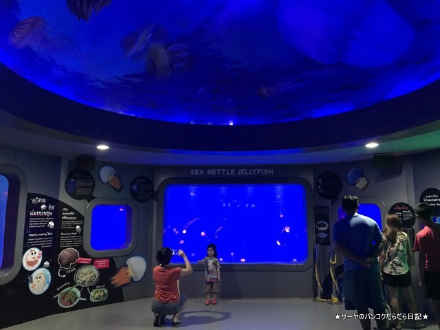 Aquarium The Institute of Marine Science Burapha University (9)
