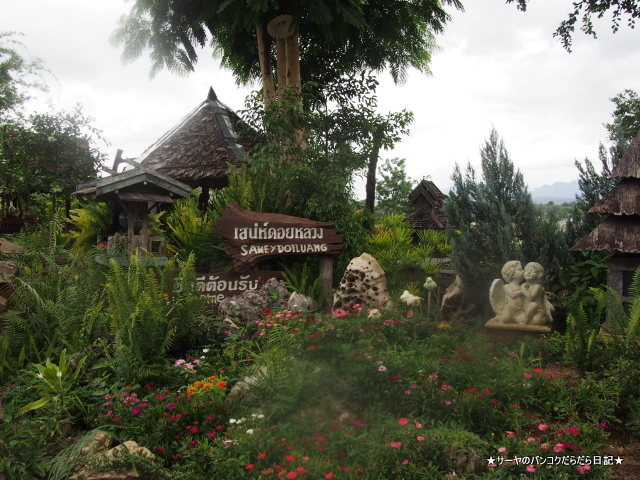 Samey Doiluang Chiang dao