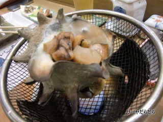 20120616 hirarin 3