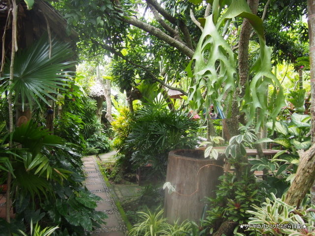 Samey Doiluang ¥Á¥§¥ó¥À¥ª¡¡Chiang dao