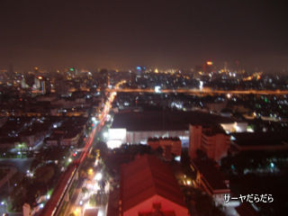 20110405 roof 4
