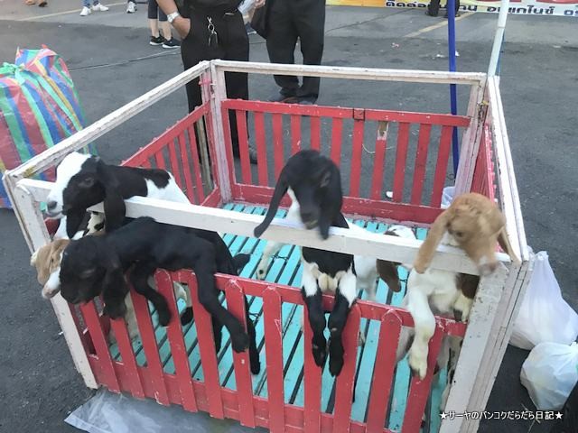 ソンクランホリデー エカマイ 2019 夜祭 バンコク (5)