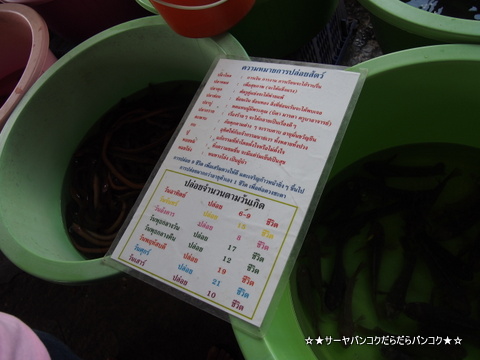 ターウェー 船着き場 バンコク 船 チャオプラヤー川 サーヤ
