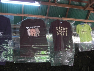20081009 elephant camp 5