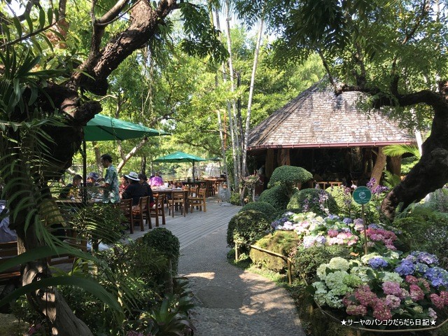 Khaomao Khaofang Restaurant (13)