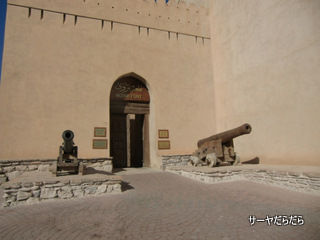 20120111 nizuwa fort 3