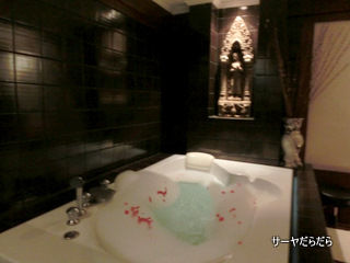 20121122 neva spa 5