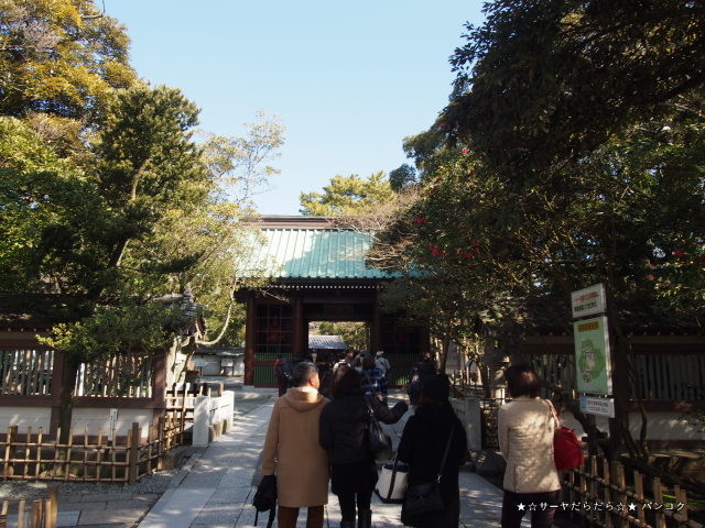 鎌倉大仏殿高徳院 (長谷の大仏) KAMAKURA