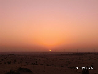 20111230 sabaku 15