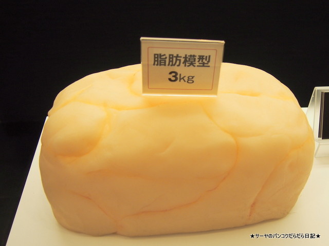アルファイン Alfine バンコク セルライト 脱毛