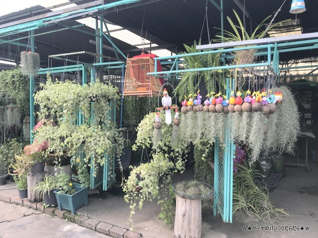 ݻԾ졡ʥʥåKlong 15 Tree Market Rangsit (3)