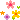 お花