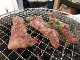 20110418 はなぶさ 7