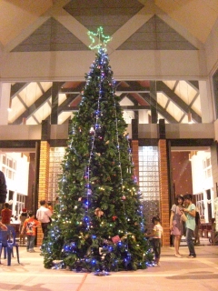 20091224 ミサ 7