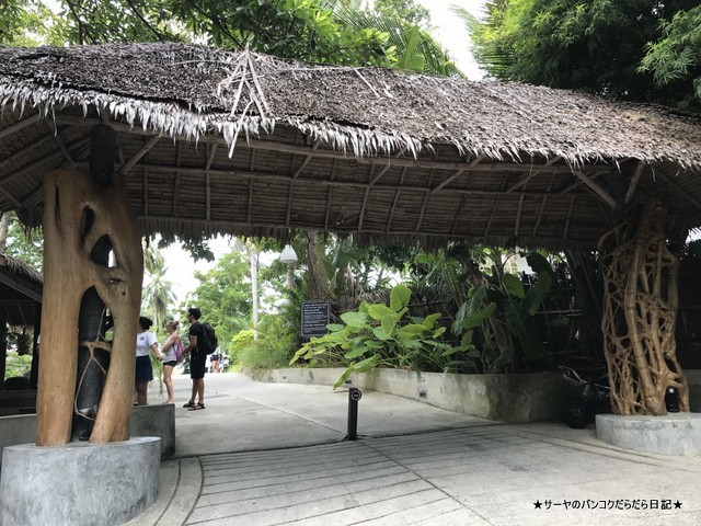 The Jungle Club 󥰥륯֡।SAMUI (13)