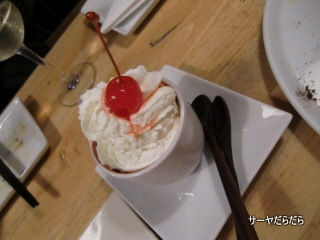 20101112 PLADIB 9
