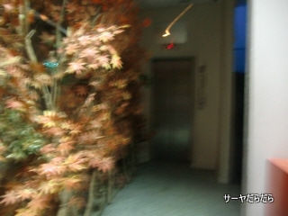 20110224 host club 1
