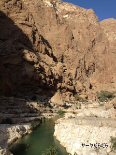 20120107 WADI SHAB 19