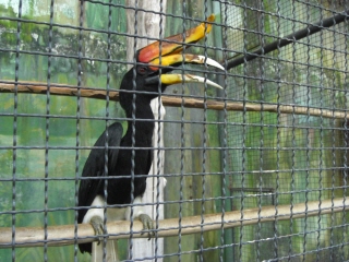 20090914 PATA ZOO 7