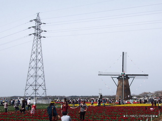 佐倉 チューリップ Sakura Tulip Festa