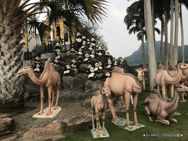 ノンヌットトロピカル Nong Nooch Tropical パタヤ ラクダ