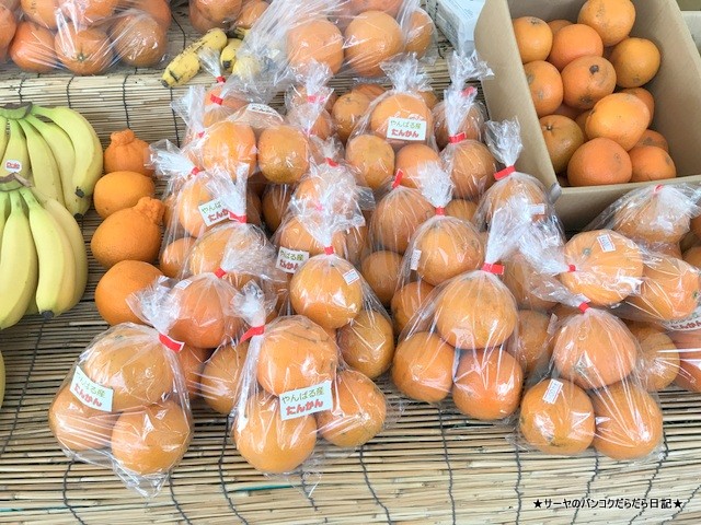 古宇利島 こうりじま 沖縄 okinawa 弾丸旅行 (8)