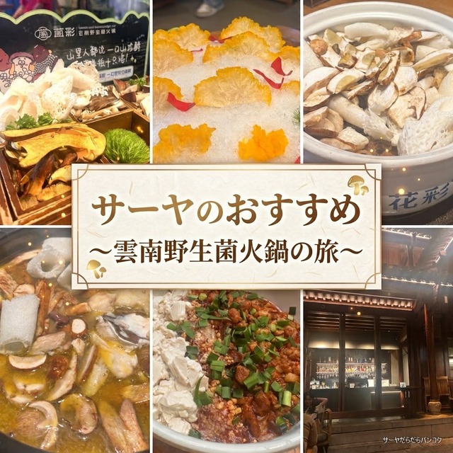 【昆明グルメ5選】絶品キノコ鍋の聖地!中国・昆明のおすすめレストラン&バー