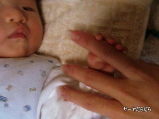 20101231