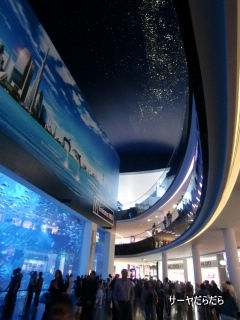 20111230 DOBAI MALL 3
