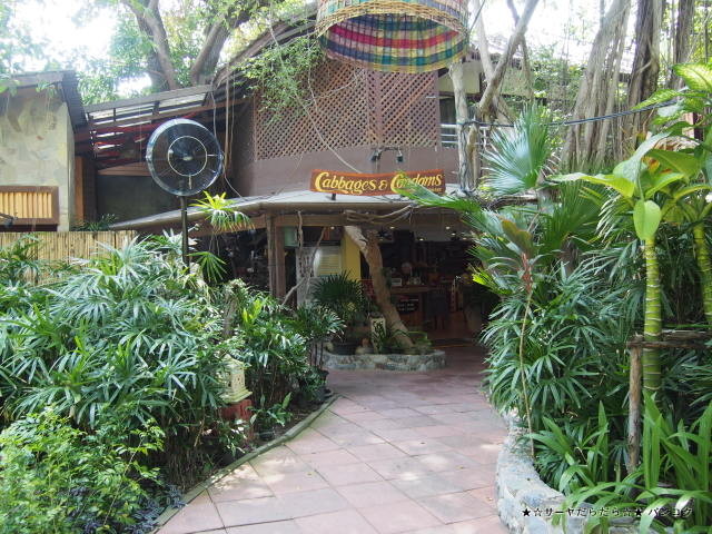 Cabbages & Condoms Restaurant at ジョムティエンビーチ パタヤ