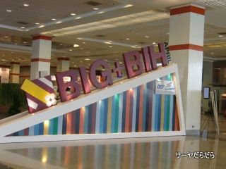 20110423 BIH 1