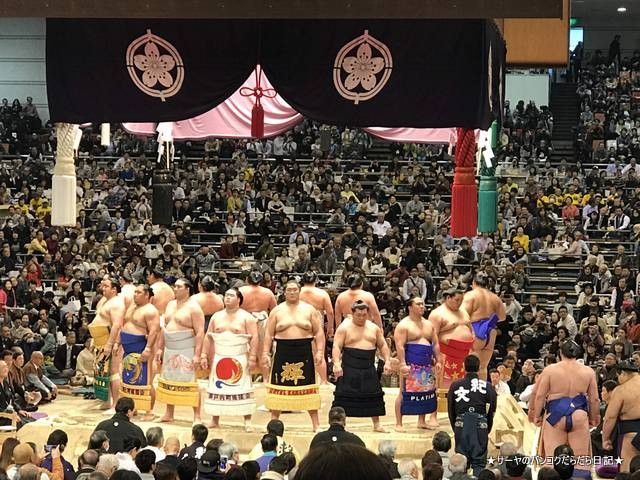  2019 齩ڡOSAKA sumo japan (16)