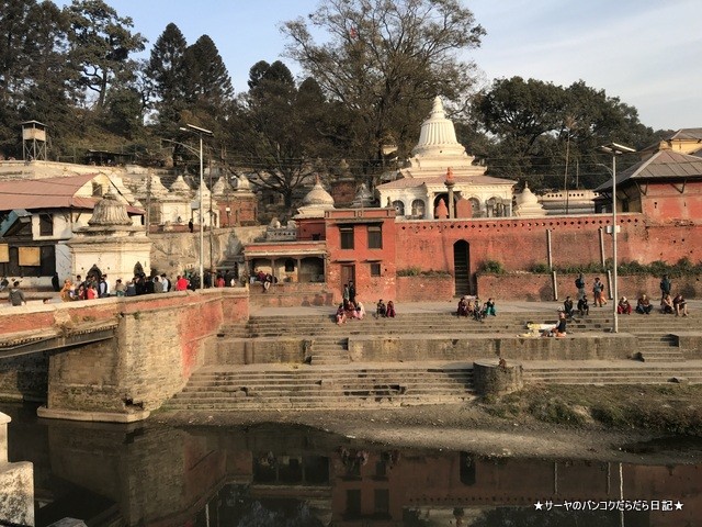 パシュパティナート Pashupatinath 世界遺産 (18)