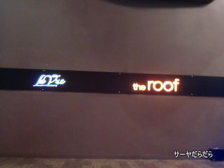 20110405 roof 1