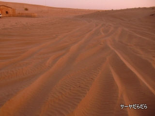 20111230 sabaku 16