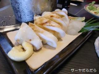 20100412 kuu 4