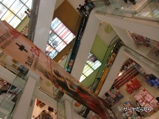 20101101 central rama 2 7