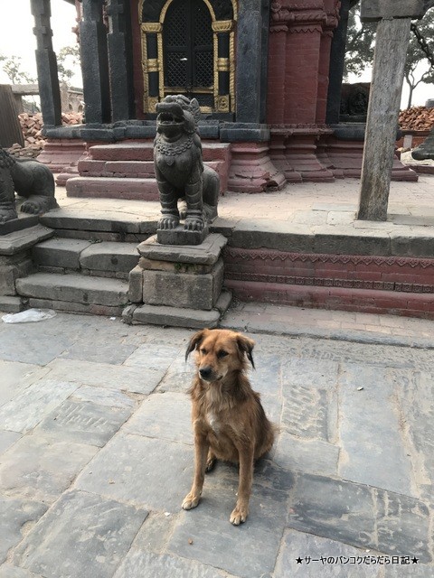 パシュパティナート Pashupatinath 世界遺産 (29)