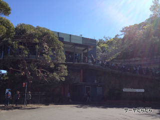 TARONGA ZOO 3