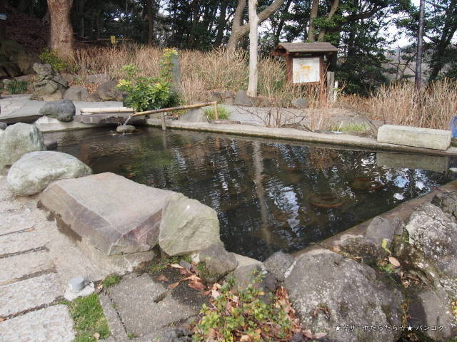葛原岡神社(くずはらおかじんじゃ) kamakura