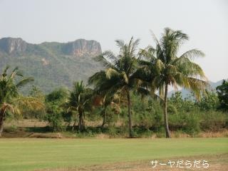 20100503 ライオンヒルズ 2