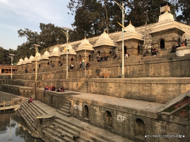 パシュパティナート Pashupatinath 世界遺産 (34)
