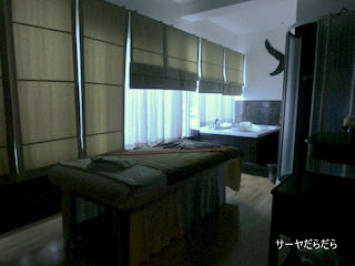 20121122 neva spa 6