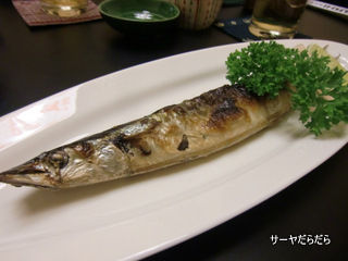 20111131 sushibar 3