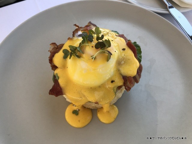 Above 5 Rooftop クロアチア ドゥブロブニク Dubrovnik egg