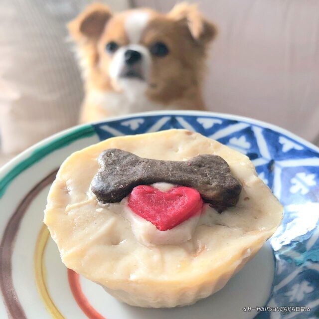 Dogkery ペットフード バンコク 犬 猫 (6)