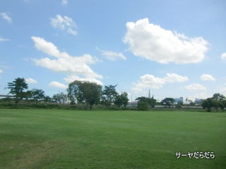 20120714 unico 4