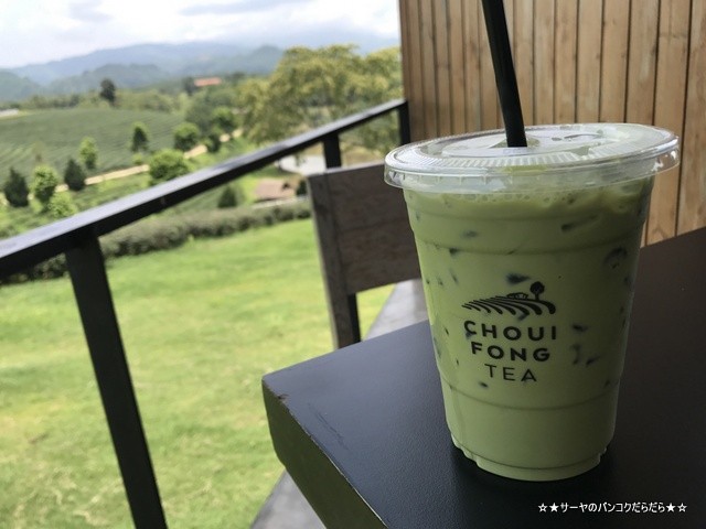 Choui Fong Tea Plantation 茶畑 チェンライ (11)